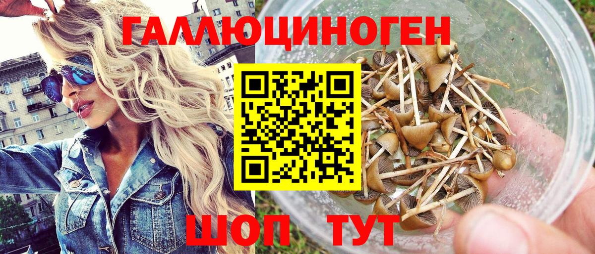 Армавир  Псилоцибиновые грибы мухоморы  Вход с VPN 
